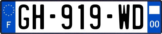 GH-919-WD
