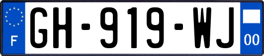 GH-919-WJ