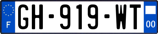 GH-919-WT