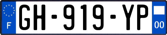 GH-919-YP