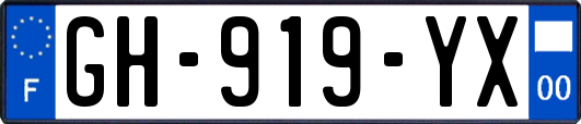 GH-919-YX