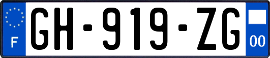 GH-919-ZG