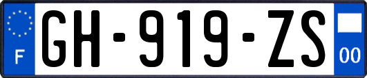 GH-919-ZS