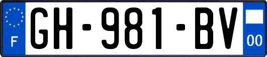 GH-981-BV