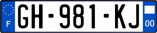 GH-981-KJ