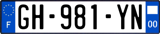 GH-981-YN