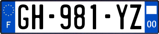 GH-981-YZ