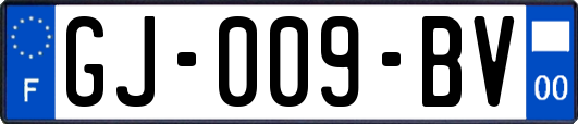 GJ-009-BV