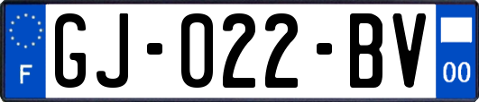 GJ-022-BV