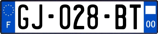 GJ-028-BT