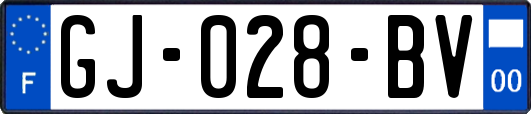 GJ-028-BV