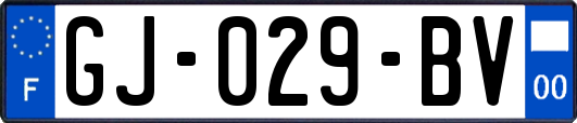 GJ-029-BV