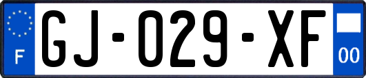 GJ-029-XF