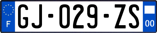 GJ-029-ZS