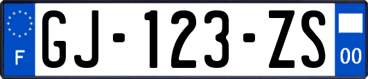 GJ-123-ZS