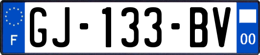 GJ-133-BV