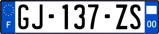 GJ-137-ZS