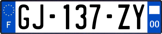 GJ-137-ZY