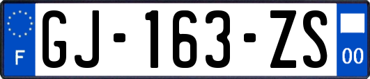 GJ-163-ZS