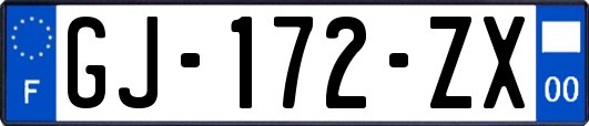 GJ-172-ZX