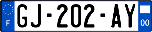 GJ-202-AY