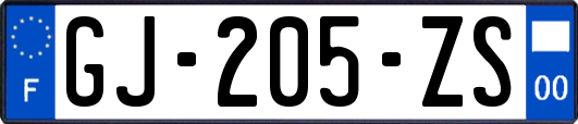 GJ-205-ZS