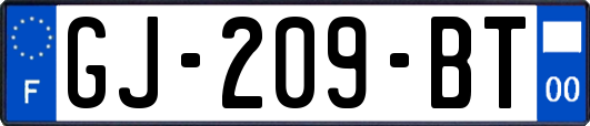 GJ-209-BT