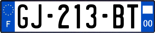 GJ-213-BT