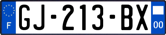 GJ-213-BX