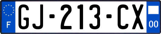 GJ-213-CX