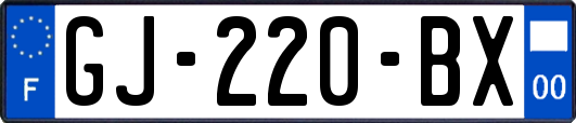 GJ-220-BX