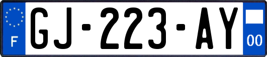 GJ-223-AY