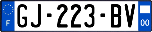 GJ-223-BV