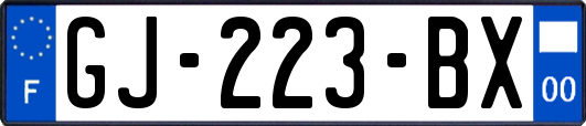 GJ-223-BX