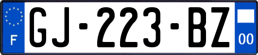 GJ-223-BZ