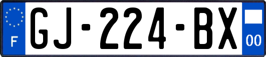 GJ-224-BX