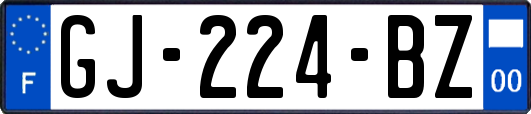 GJ-224-BZ