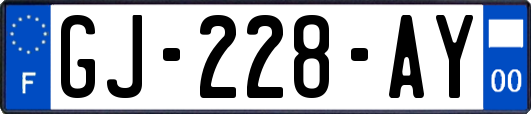 GJ-228-AY