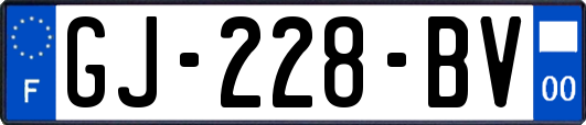 GJ-228-BV