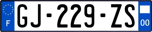 GJ-229-ZS