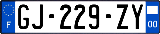 GJ-229-ZY
