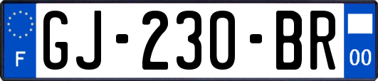 GJ-230-BR