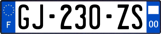 GJ-230-ZS