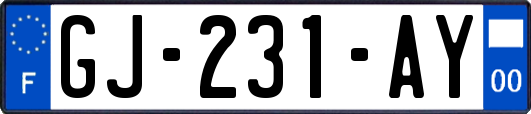 GJ-231-AY