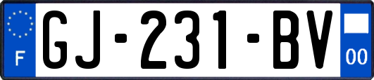 GJ-231-BV