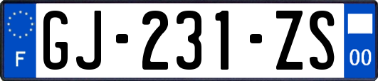 GJ-231-ZS