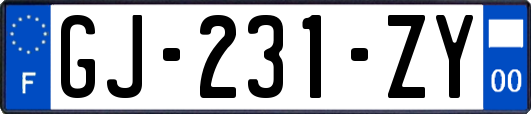 GJ-231-ZY