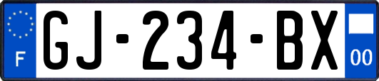 GJ-234-BX