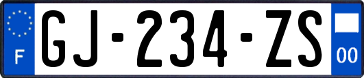 GJ-234-ZS