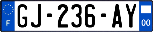 GJ-236-AY